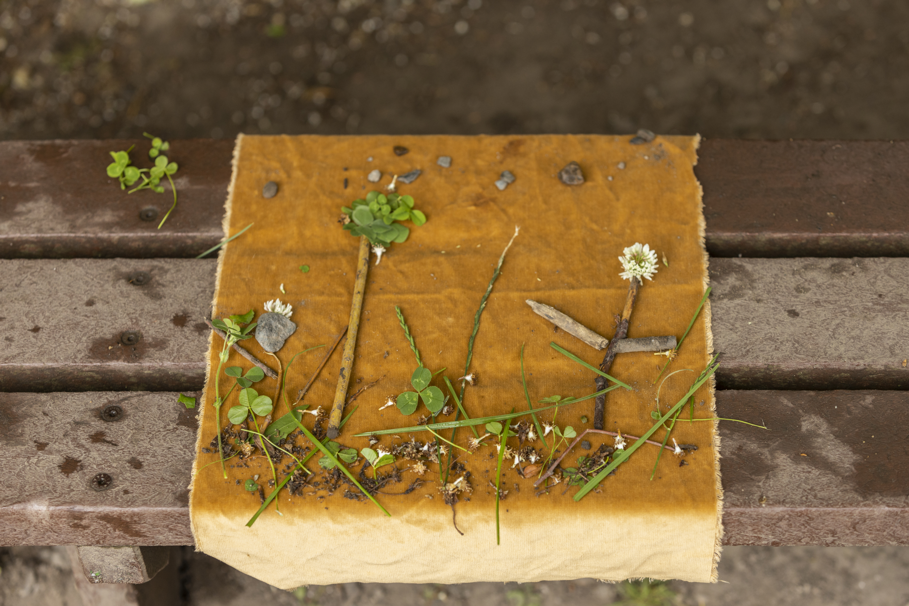 Picture created with natural objects including grass and flowers
